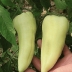 Перец Аккорд