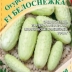 Огурец Белоснежка