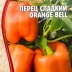 Перец Оранж Белл