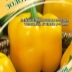Перец Золотой Бык
