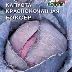 Капуста Боксер краснокочанная