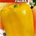 Перец Раджа