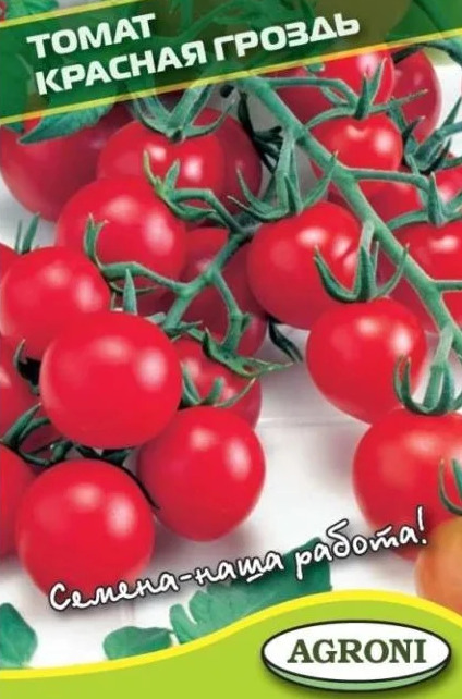  Красная гроздь: описание сорта помидоров, характеристики .