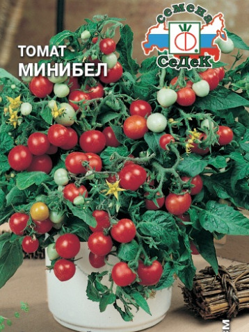 Томат Минибел: описание сорта помидоров, характеристики. Особенности ...