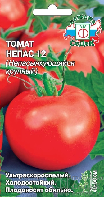 Томат Непас 12 (Непасынкующийся крупный): описание сорта помидоров ...