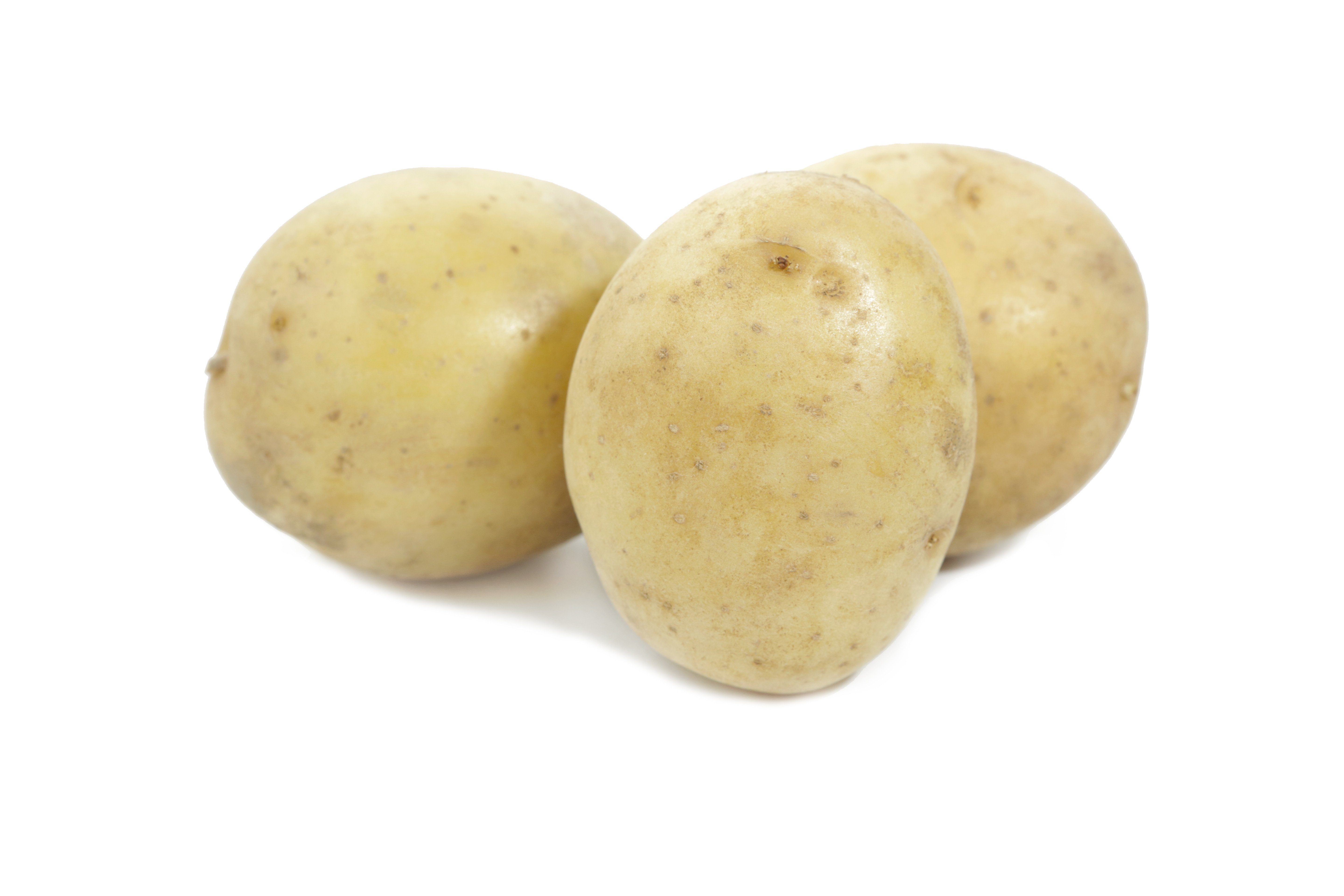 картофель сорт гала фото