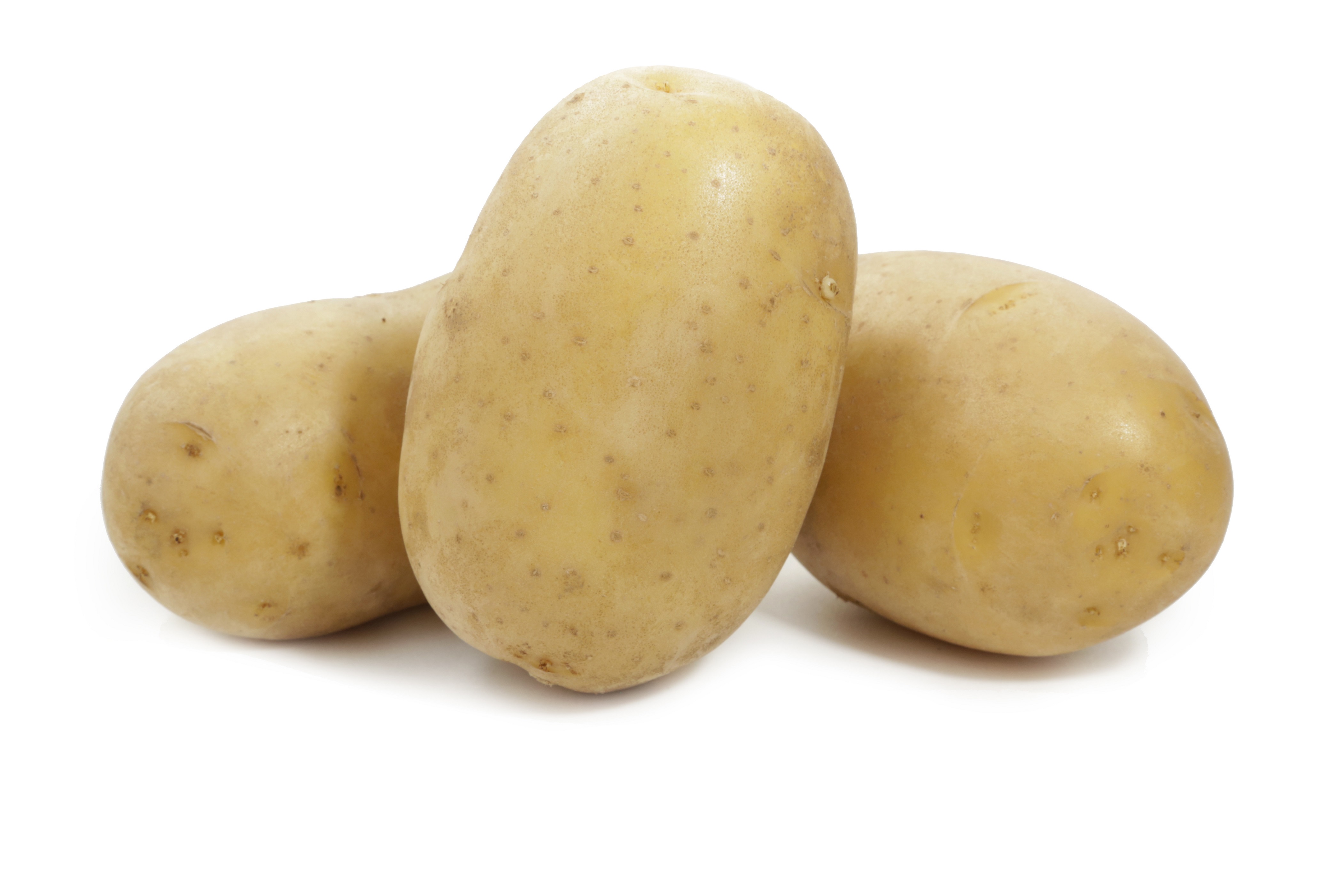 Семенной картофель Вега