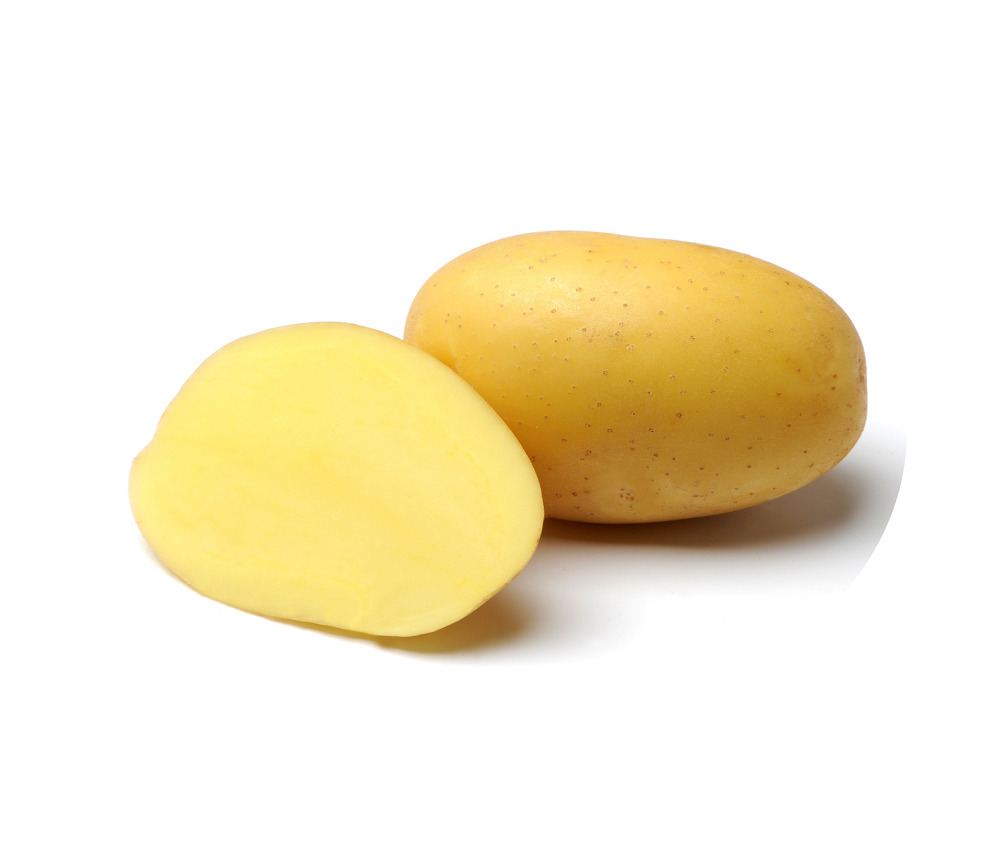Бернина картофель семенной