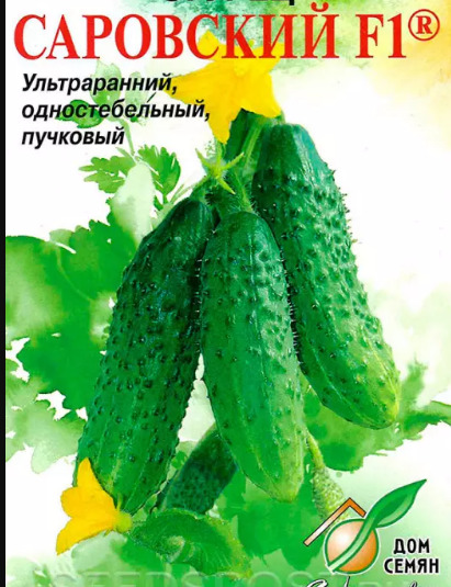 Огурец Саровский: описание и характеристики сорта, правила посадки и ...