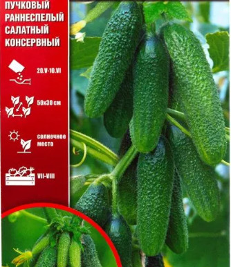 Огурец Зеленая гирлянда: описание и характеристики сорта, правила ...