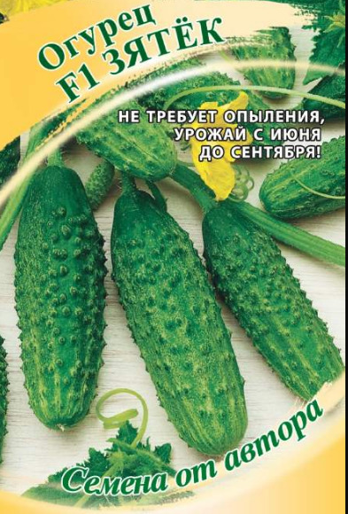 Огурец Зятек: описание и характеристики сорта, правила посадки и ...