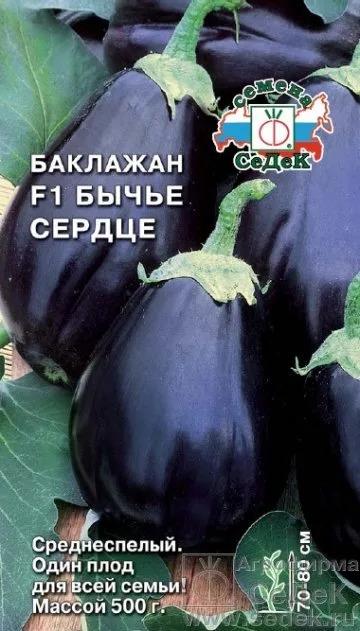 Баклажан Бычье сердце: описание и характеристика сорта, агротехника ...