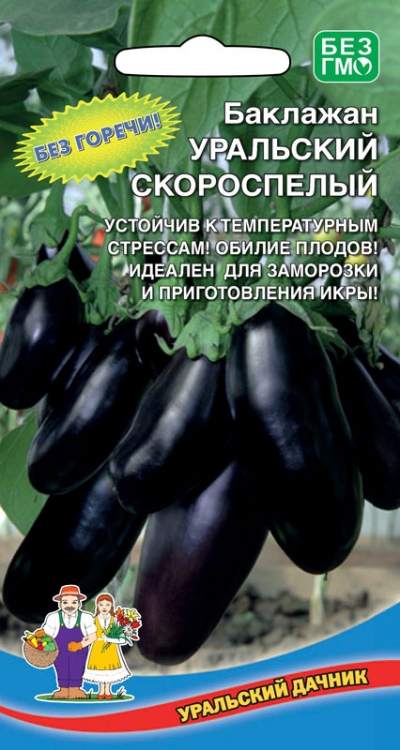Баклажан Уральский скороспелый: описание и характеристика сорта ...