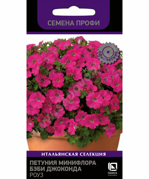 Петуния Бэби Джоконда Роуз: описание сорта, характеристики, тонкости ...