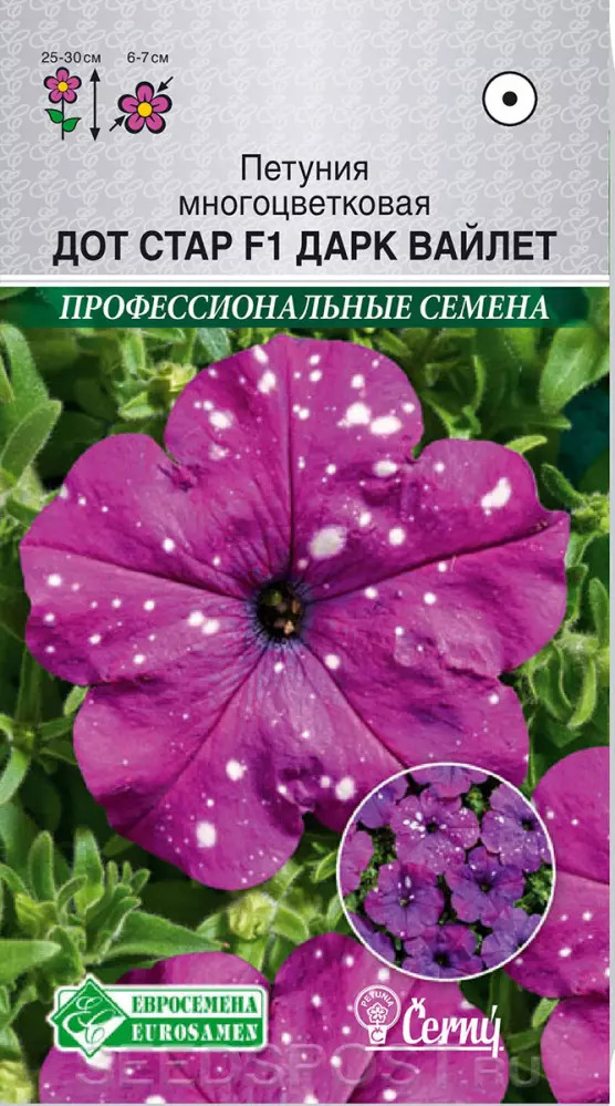 Петуния Дот Стар Дарк Виолет: описание сорта, характеристики, тонкости ...