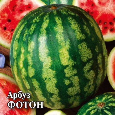 Арбуз Фотон: особенности сорта, характеристика плодов, агротехника ...