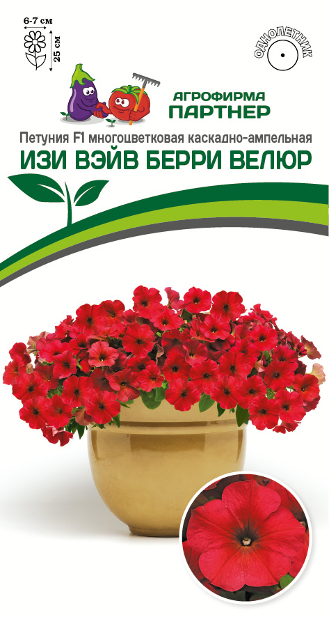Петуния Изи Вейв Берри Велюр: описание сорта, характеристики, тонкости ...