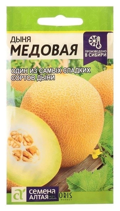 Дыня Медовая: описание и характеристики сорта, особенности посадки и ...