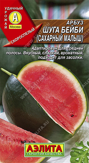 Арбуз Шуга Бейби: особенности сорта, характеристика плодов, агротехника ...