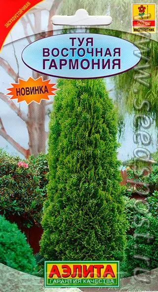 Туя Гармония: описание сорта, характеристики, тонкости посадки и ...
