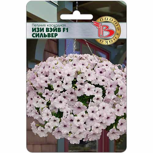 Петуния Изи Вейв Сильвер: описание сорта, характеристики, тонкости ...