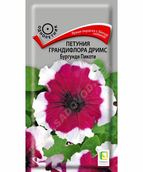 Петуния Пикоти Бургунди: описание сорта, характеристики, тонкости ...