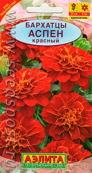 Бархатцы Аспен красный: описание и характеристики сорта бархоток ...