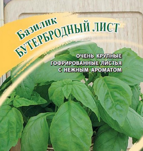 Базилик Бутербродный лист: описание сорта, характеристики, особенности ...