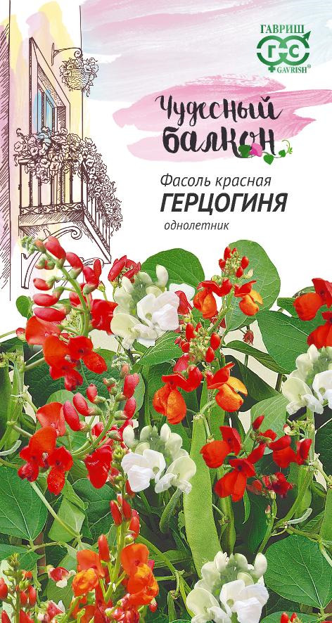 Фасоль Герцогиня: описание сорта, характеристики, агротехника посадки и ...