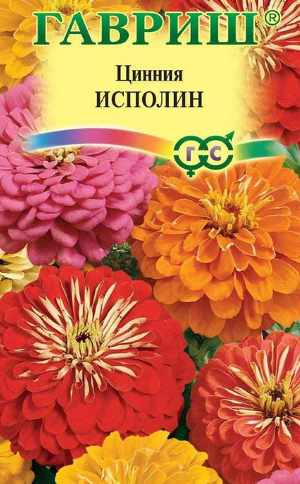 Цинния Исполин: описание сорта, характеристики, особенности посадки и ...