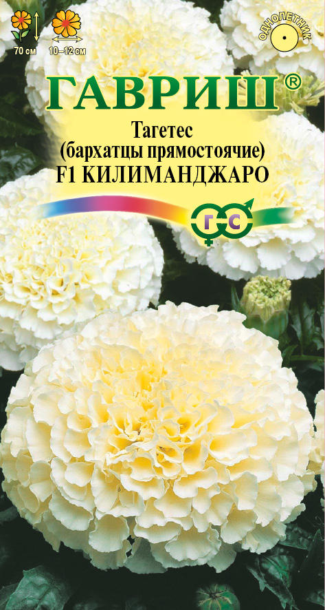 Бархатцы Килиманджаро: описание и характеристики сорта бархоток ...
