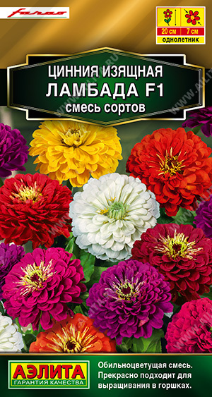 Цинния Ламбада: описание сорта, характеристики, особенности посадки и ...