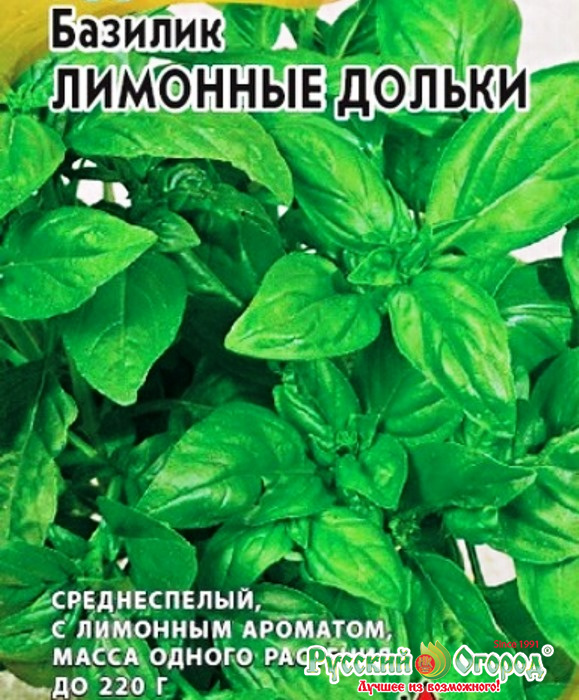 Базилик Лимонные дольки: описание сорта, характеристики, особенности ...