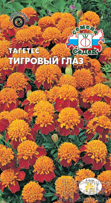 Бархатцы Тигровый глаз: описание и характеристики сорта бархоток ...