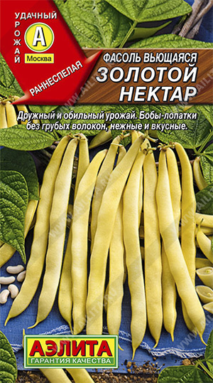 Фасоль Золотой нектар: описание сорта, характеристики, агротехника ...