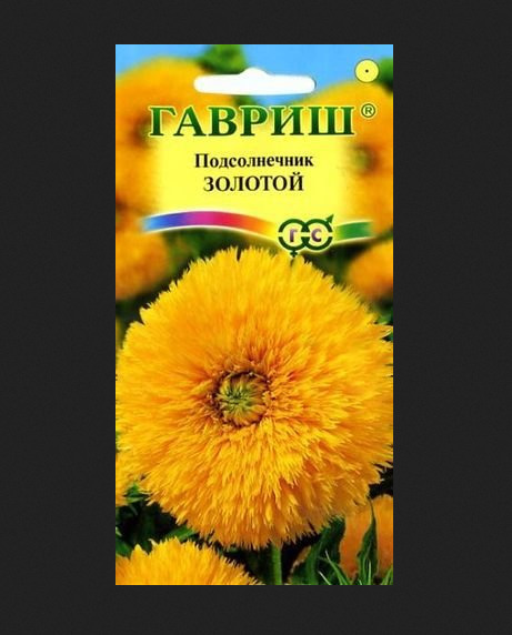 Подсолнечник Золотой: описание сорта, характеристики, агротехника ...