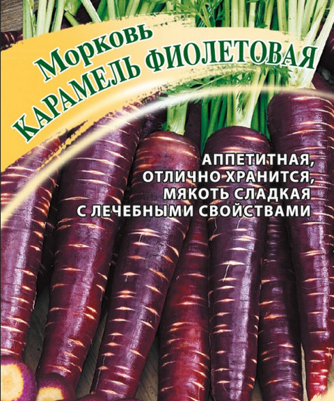 Морковь Карамель фиолетовая: описание и характеристики сорта, правила ...