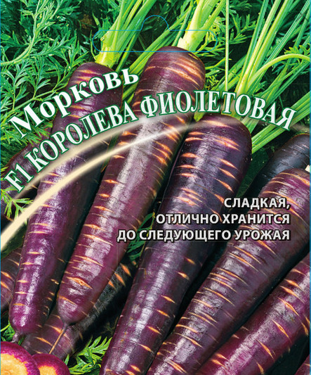 Морковь Королева фиолетовая: описание и характеристики сорта, правила ...