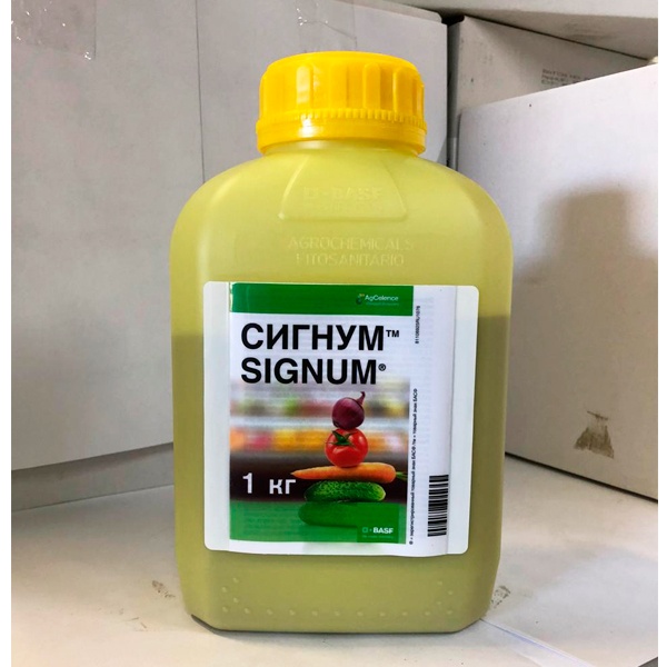 Препарат Сигнум: инструкция по применению и назначение. Как применять ...