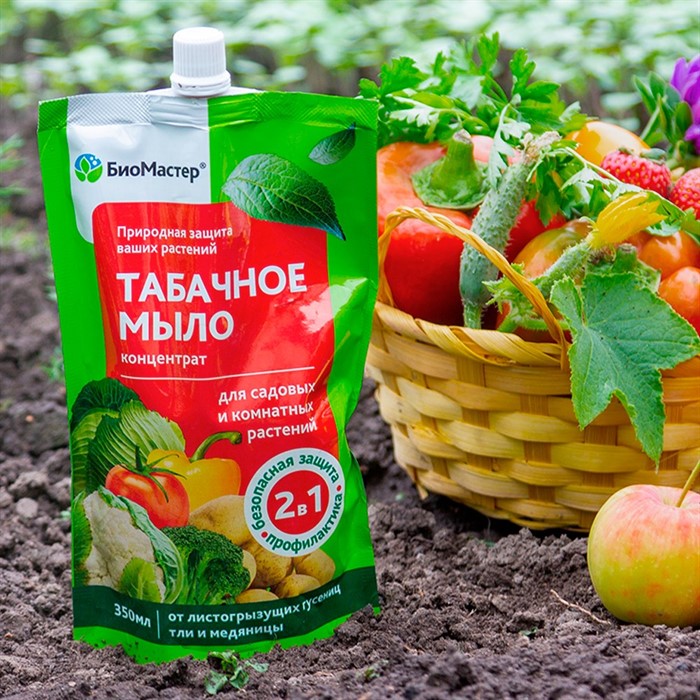 Табачное мыло: инструкция по применению от вредителей и болезней. Как ...