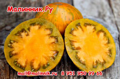 Томат Козула 179: описание сорта помидоров, характеристики. Особенности ...