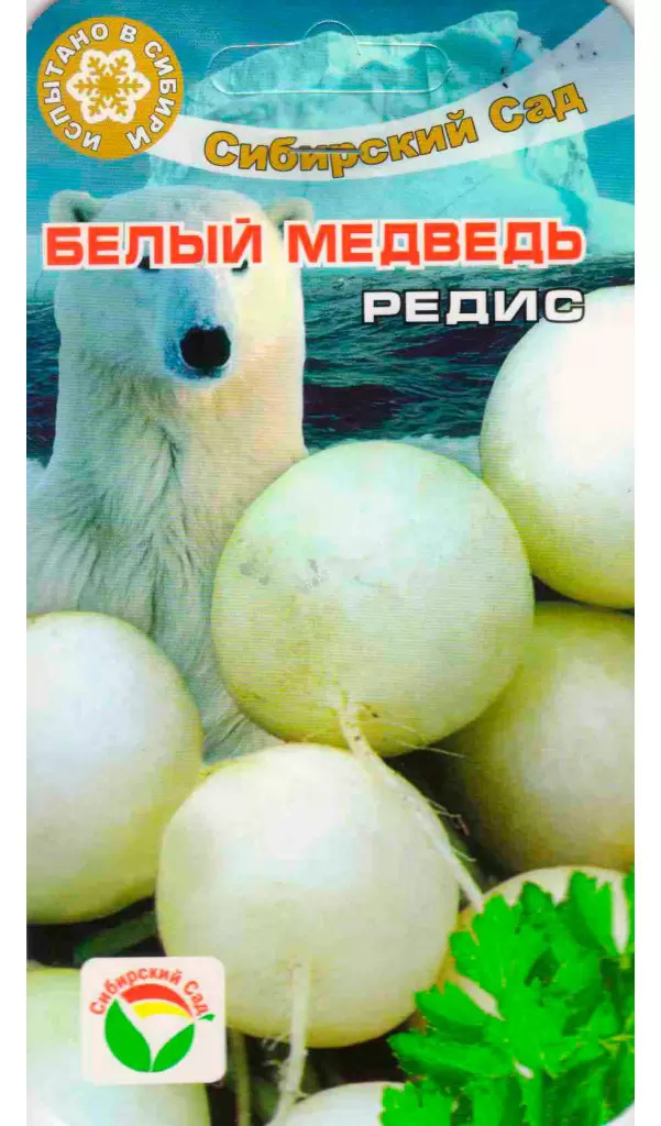 Редис Белый медведь: описание и характеристики сорта, особенности ...