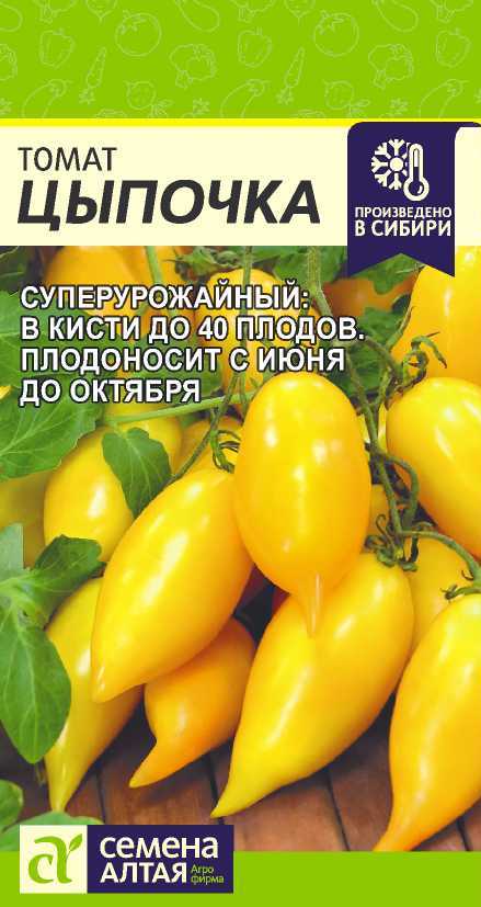 Томат Цыпочка: описание сорта помидоров, характеристики. Особенности ...
