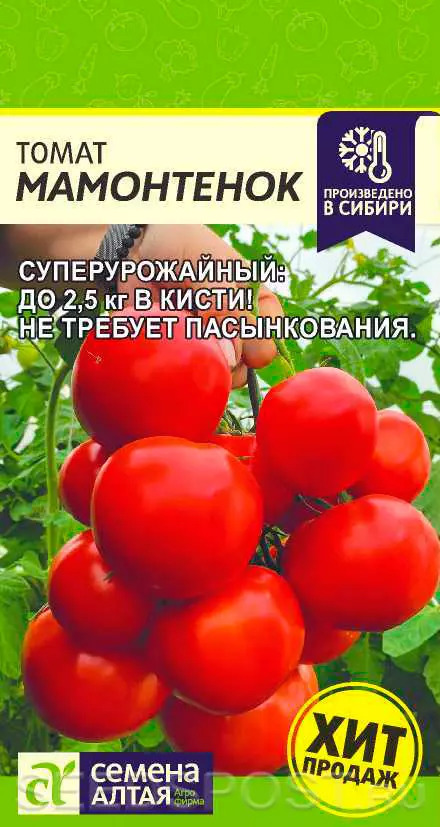 Томат Мамонтенок: описание сорта помидоров, характеристики. Особенности ...