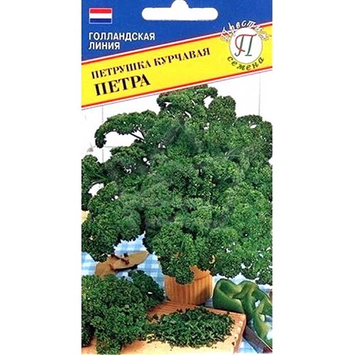 Петрушка Петра: описание и характеристика сорта, тонкости посадки и ...