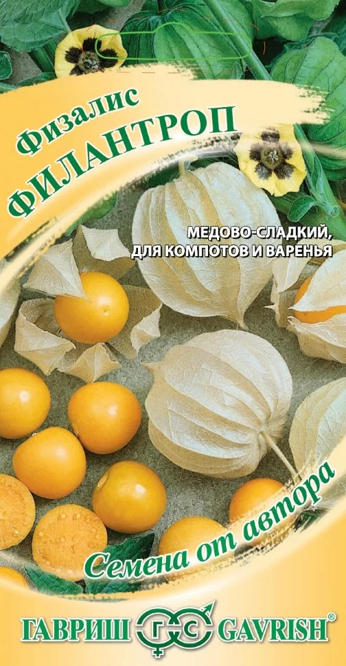 Физалис Филантроп: описание сорта, характеристики, особенности посадки ...