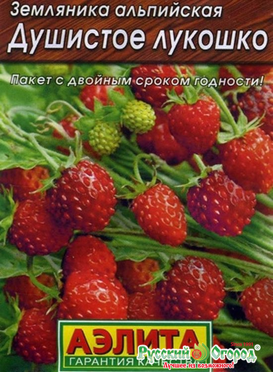 Клубника Душистое лукошко: описание и характеристики сорта садовой ...