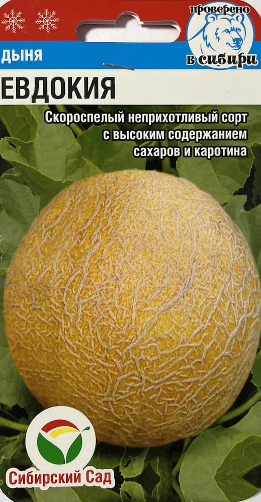 Дыня Евдокия: описание и характеристики сорта, особенности посадки и ...