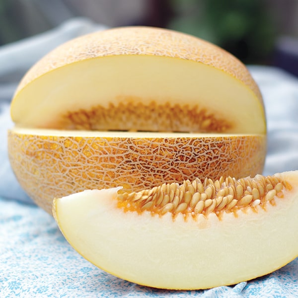 Дыня Голди: описание и характеристики сорта, особенности посадки и ...