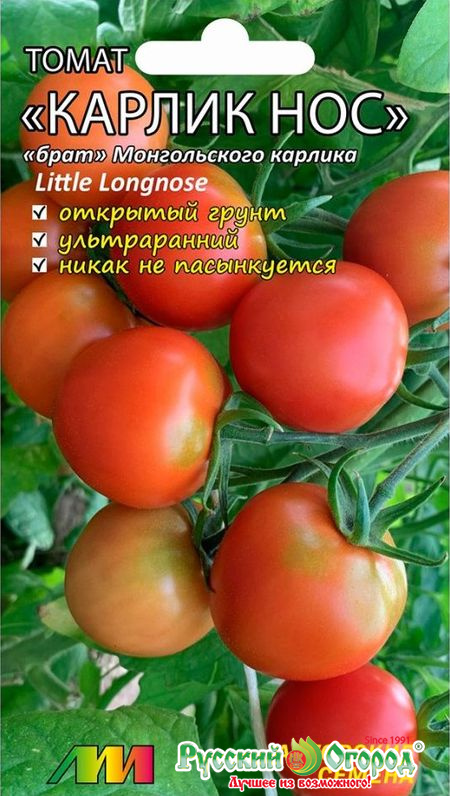Томат Карлик Нос: описание сорта помидоров, характеристики. Особенности ...